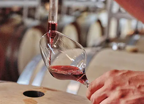 Echantillon de vin versé dans un verre dans un chai