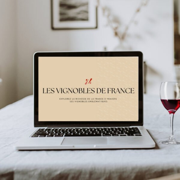 première page de la formation œnologique sur les vignobles de France sur un écran d'ordinateur
