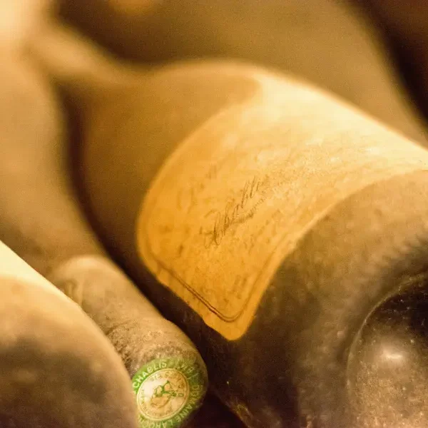 Zoom sur bouteille de vin poussiéreuse