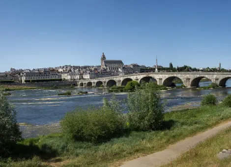 Photo des bords de Loire