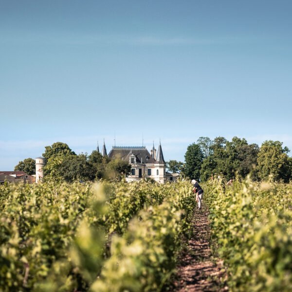 Vins de Bordeaux